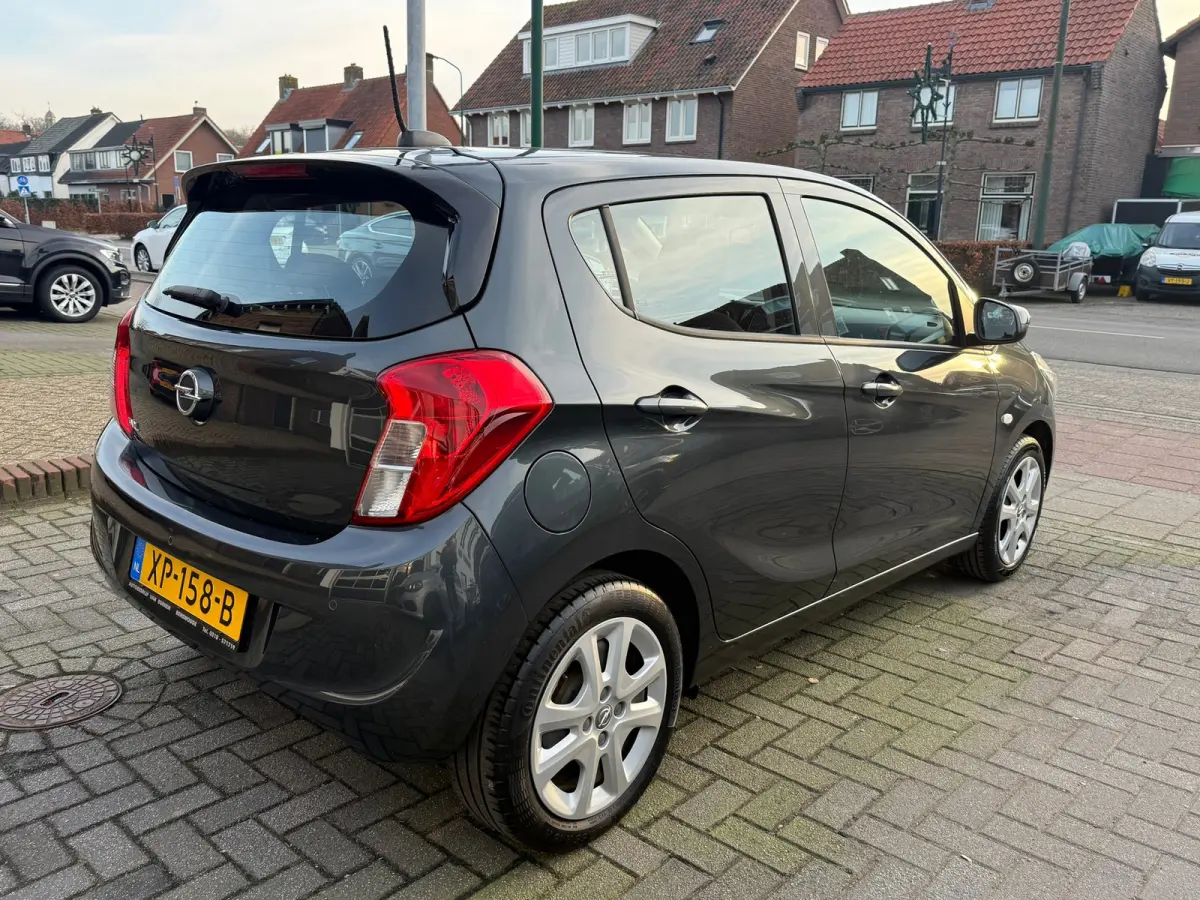 1.0 ecoFLEX Edition automaat,Apple Carplay/Android,Navigatie,Airco,Cruise control