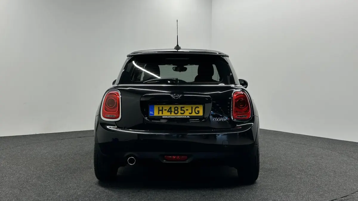 Mini 1.5 Pepper NAVIGATIE CRUISE LM.