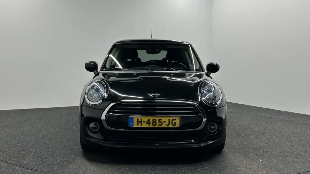 Mini 1.5 Pepper NAVIGATIE CRUISE LM.