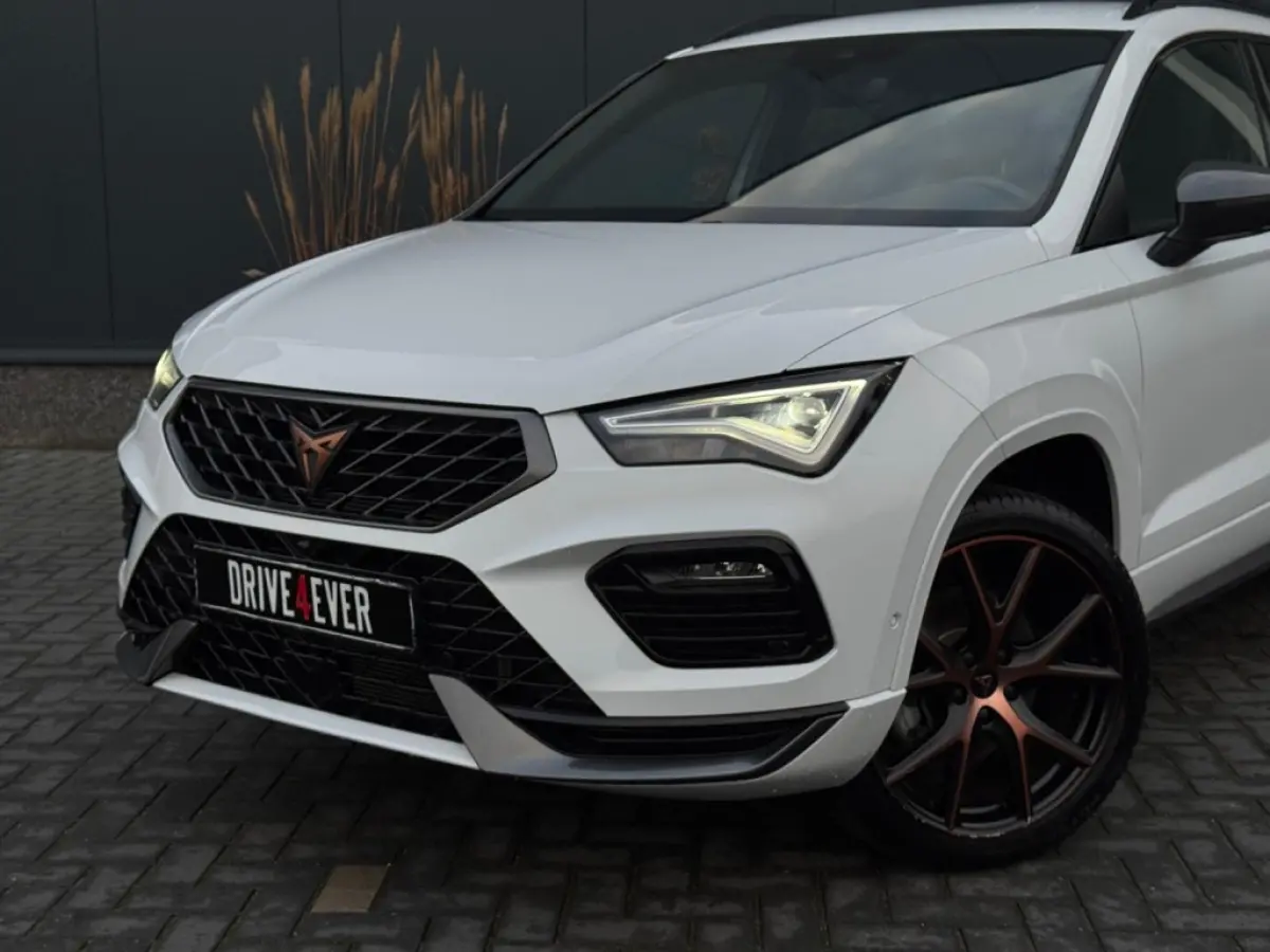 1.5 TSI FR Bns Int. VIRTAUL CAMERA LEDER LED SPORTVELGEN