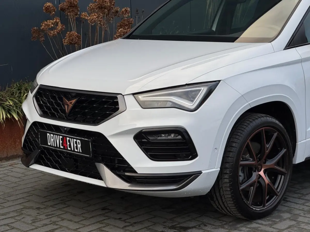 1.5 TSI FR Bns Int. VIRTAUL CAMERA LEDER LED SPORTVELGEN