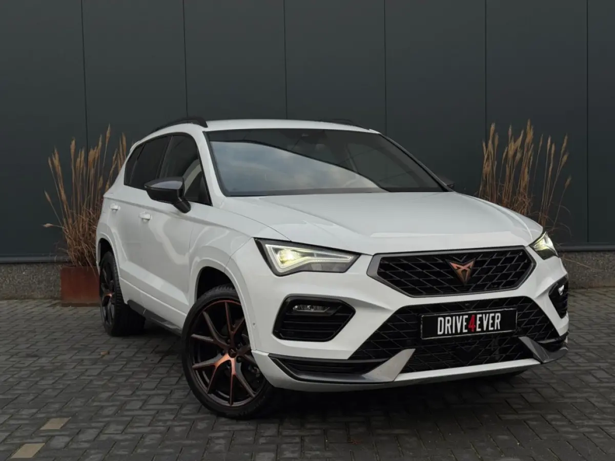 1.5 TSI FR Bns Int. VIRTAUL CAMERA LEDER LED SPORTVELGEN