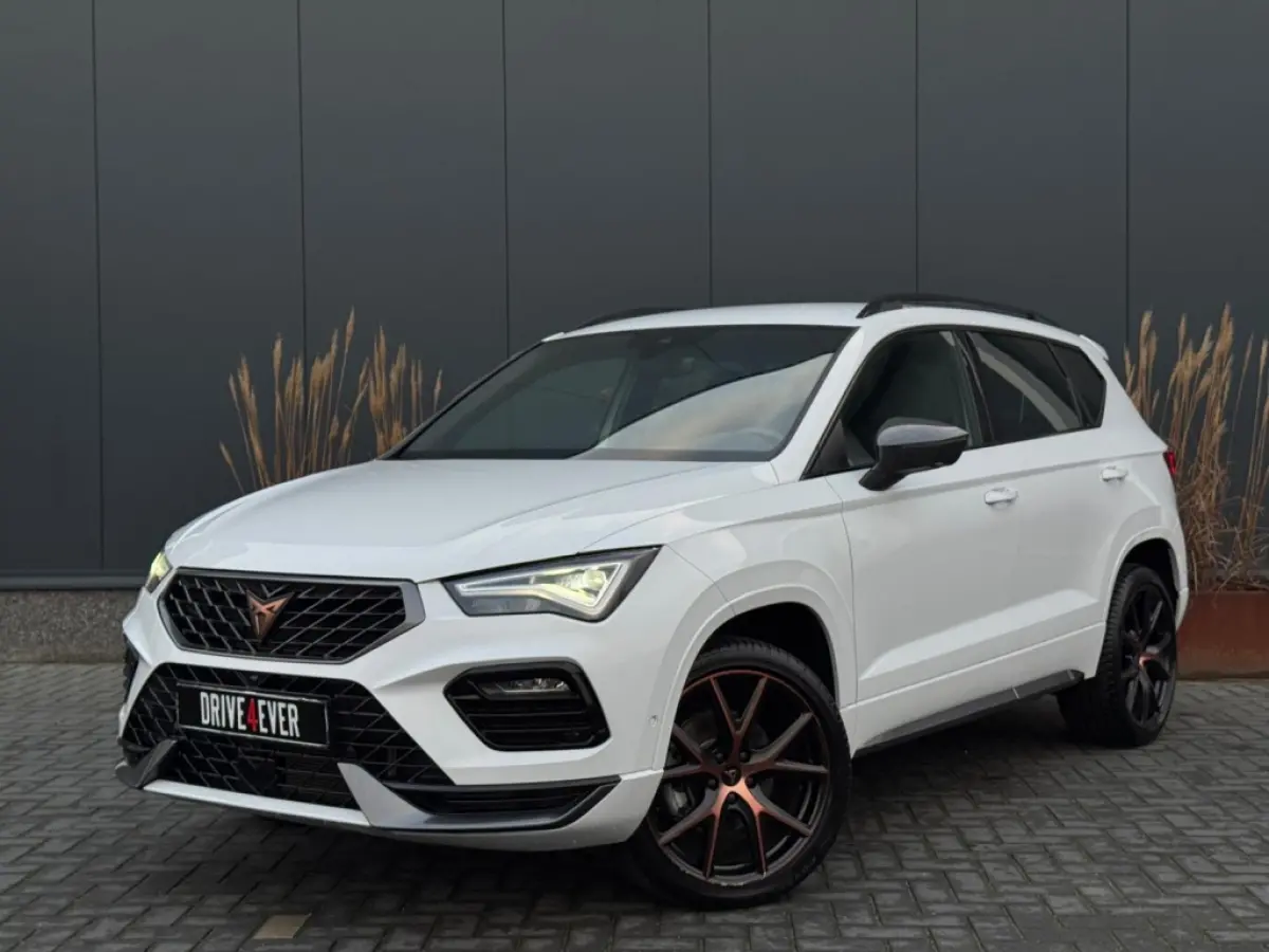 1.5 TSI FR Bns Int. VIRTAUL CAMERA LEDER LED SPORTVELGEN