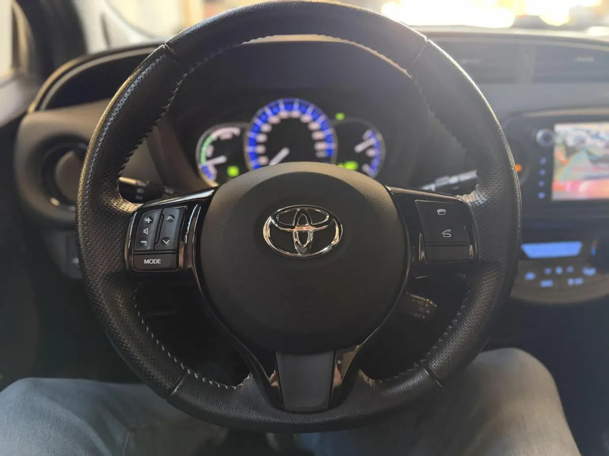 1.5 Hybrid Dynamic Bi-Tone