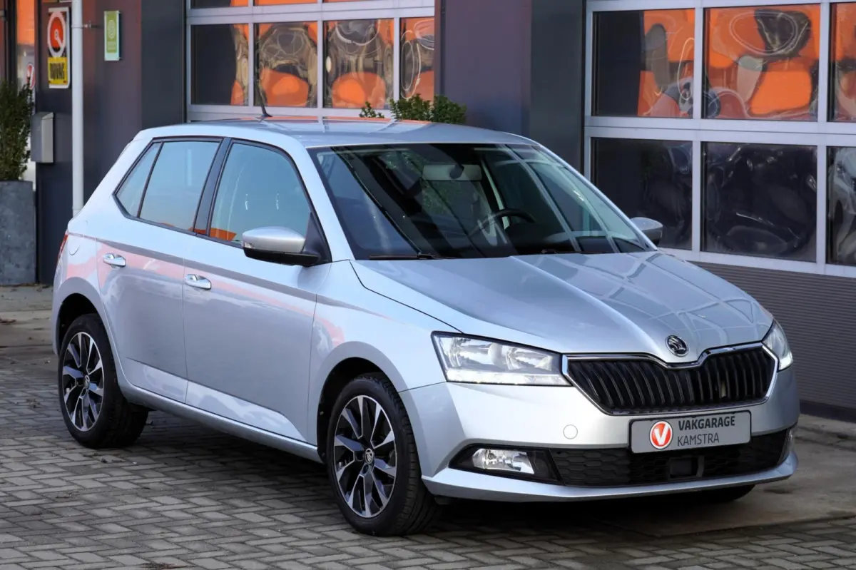 1.0 TSI Business Edition NAP Airco/Cruise/AA+ACP