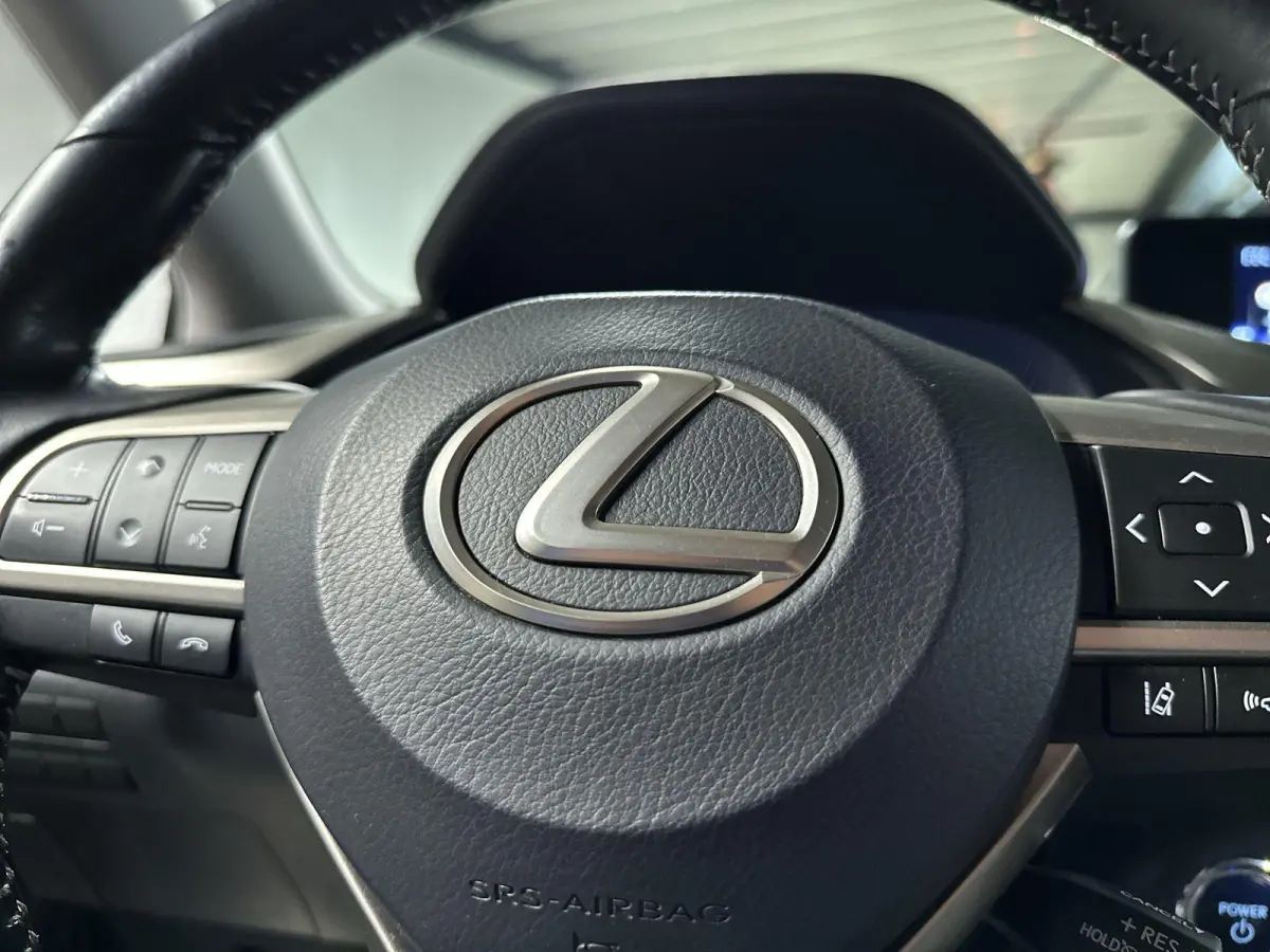 450h 4WD Luxury Line Automaat | Trekhaak | Leder | Pano | Memory