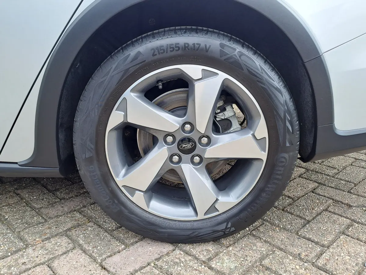 1.0 EcoBoost Active Business | Navi | PDC | Cruise | Trekhaak | ECC | Stoel, Stuur, Voorruit verwarming