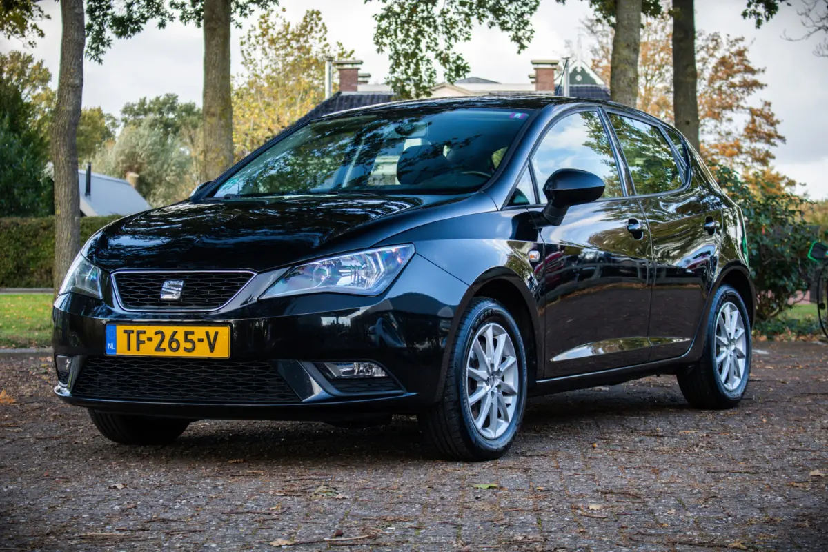1.0 EcoTSI Style Connect | Trekhaak | Automaat