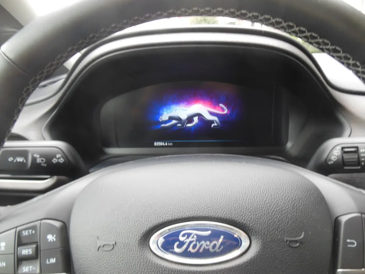 1.0 EcoBoost Titanium 12 maanden Bovag garantie carplay/android