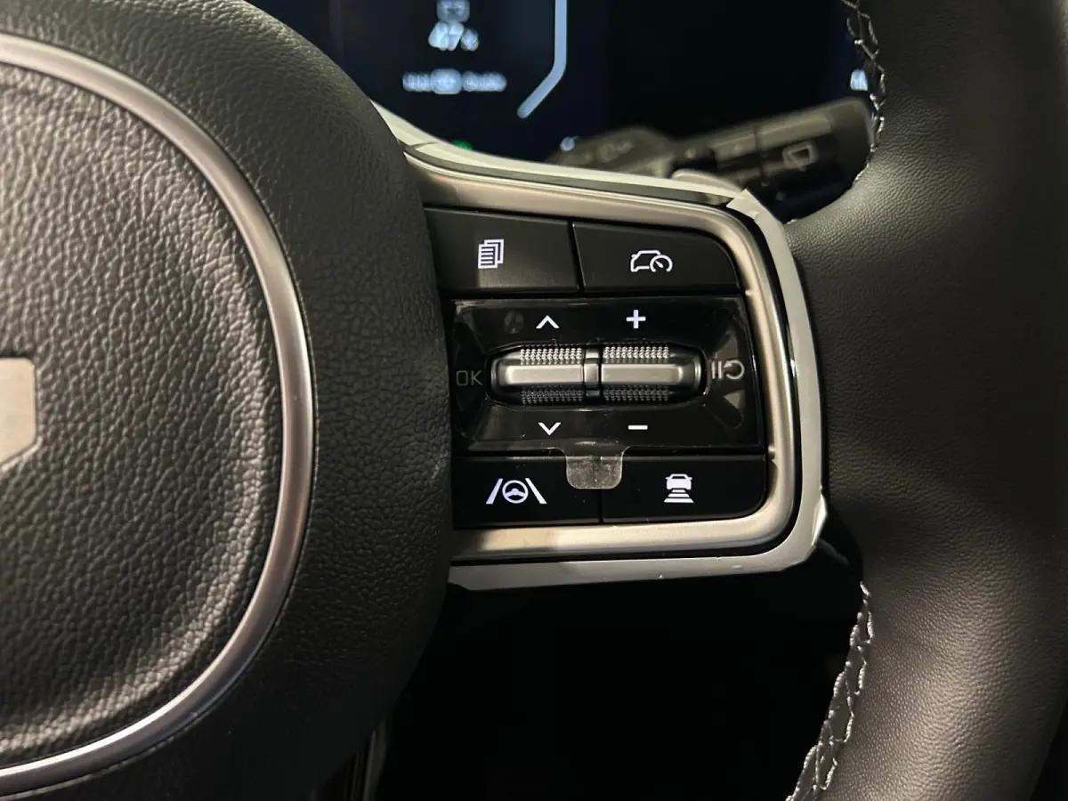 1.6 T-GDi Plug-in Hybrid 4WD DynamicPlusLine 7p | Glazen schuif-/kanteldak | BOSE premium geluidsinstallatie | Stoel- en stuurverwarming | NU €3000 inruilpremie!