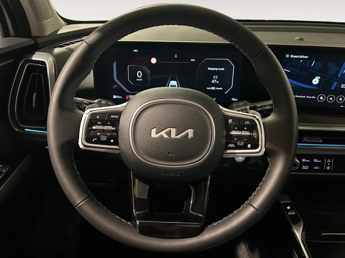 1.6 T-GDi Plug-in Hybrid 4WD DynamicPlusLine 7p | Glazen schuif-/kanteldak | BOSE premium geluidsinstallatie | Stoel- en stuurverwarming | NU €3000 inruilpremie!