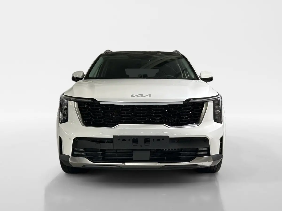 1.6 T-GDi Plug-in Hybrid 4WD DynamicPlusLine 7p | Glazen schuif-/kanteldak | BOSE premium geluidsinstallatie | Stoel- en stuurverwarming | NU €3000 inruilpremie!