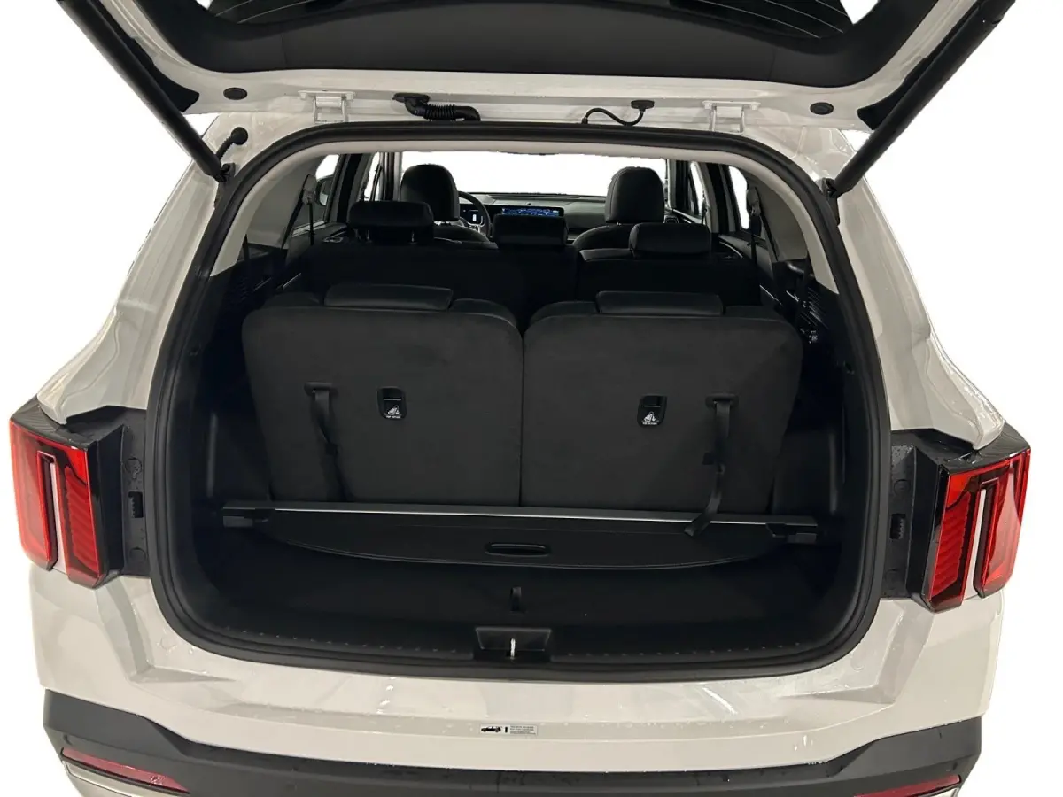 1.6 T-GDi Plug-in Hybrid 4WD DynamicPlusLine 7p | Glazen schuif-/kanteldak | BOSE premium geluidsinstallatie | Stoel- en stuurverwarming | NU €3000 inruilpremie!