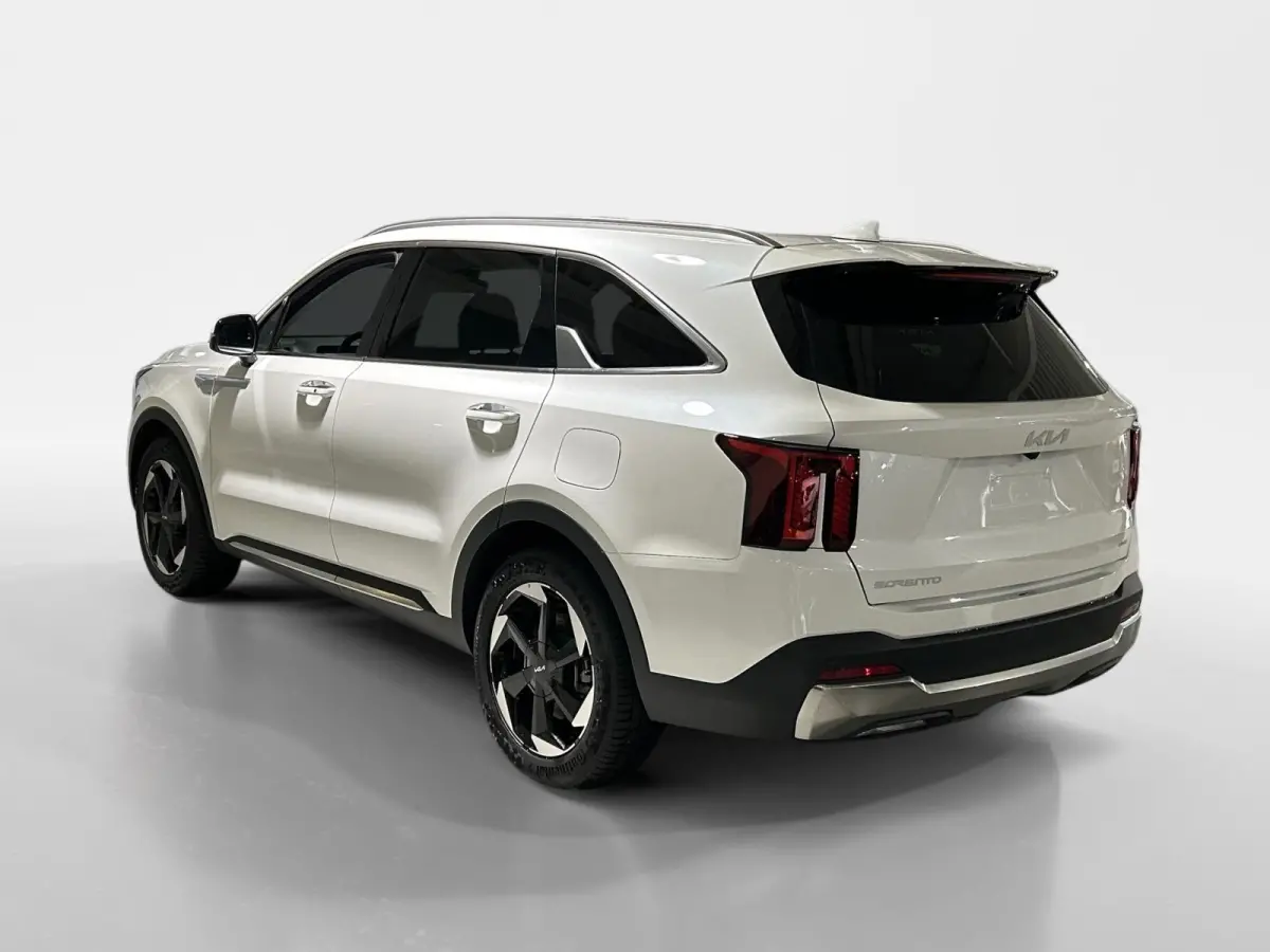 1.6 T-GDi Plug-in Hybrid 4WD DynamicPlusLine 7p | Glazen schuif-/kanteldak | BOSE premium geluidsinstallatie | Stoel- en stuurverwarming | NU €3000 inruilpremie!