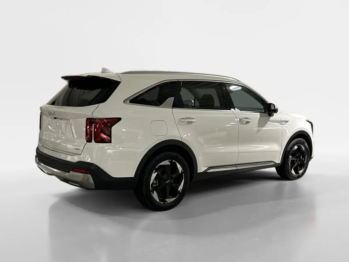 1.6 T-GDi Plug-in Hybrid 4WD DynamicPlusLine 7p | Glazen schuif-/kanteldak | BOSE premium geluidsinstallatie | Stoel- en stuurverwarming | NU €3000 inruilpremie!