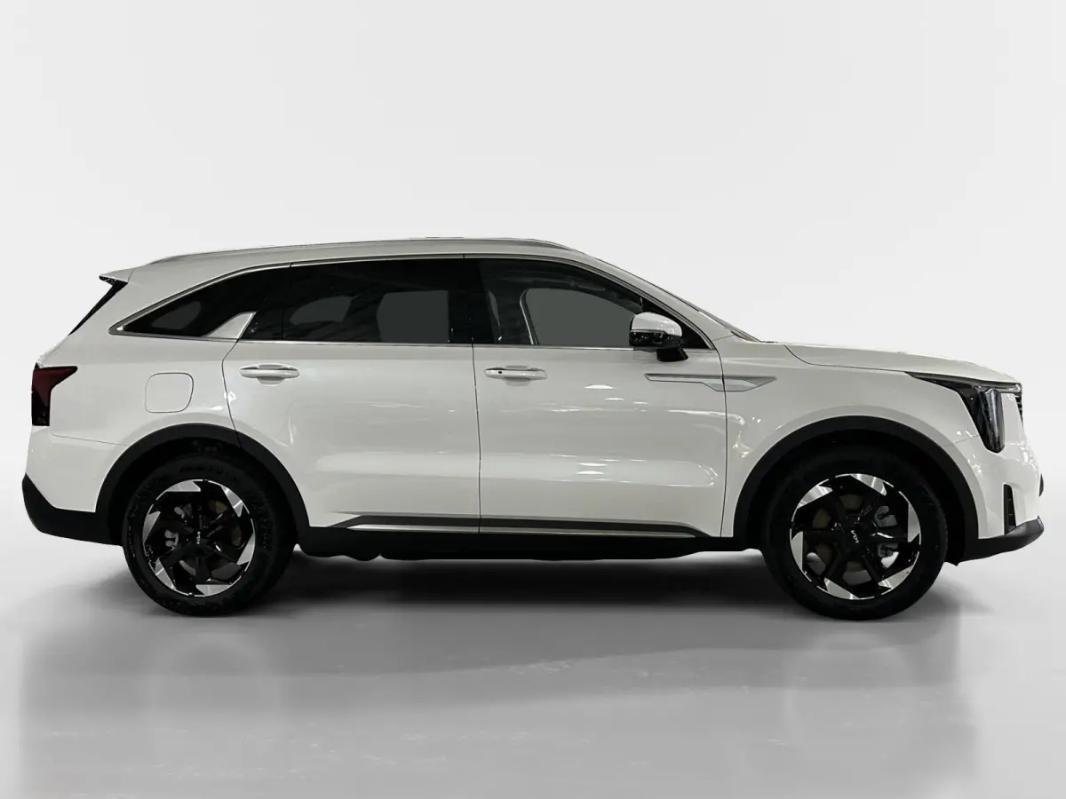 1.6 T-GDi Plug-in Hybrid 4WD DynamicPlusLine 7p | Glazen schuif-/kanteldak | BOSE premium geluidsinstallatie | Stoel- en stuurverwarming | NU €3000 inruilpremie!