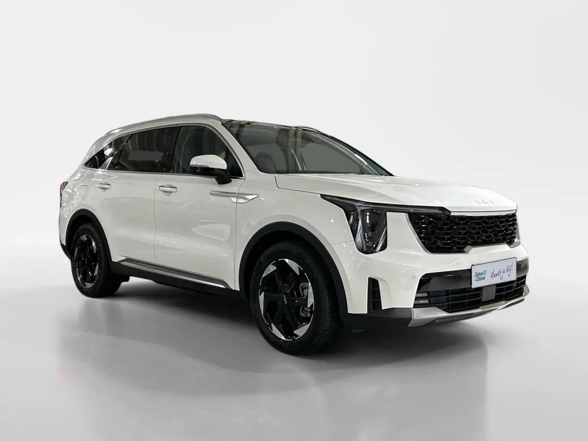 1.6 T-GDi Plug-in Hybrid 4WD DynamicPlusLine 7p | Glazen schuif-/kanteldak | BOSE premium geluidsinstallatie | Stoel- en stuurverwarming | NU €3000 inruilpremie!