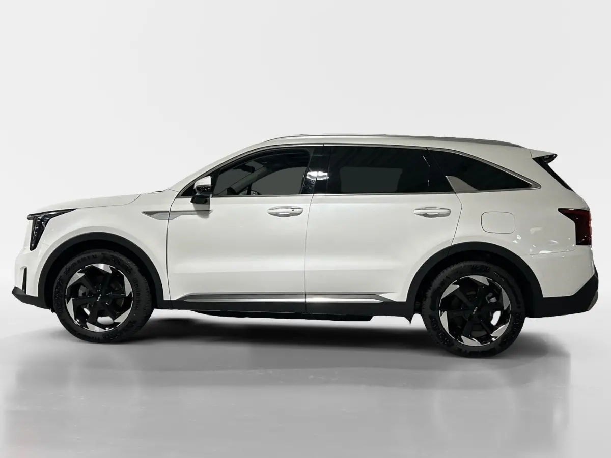 1.6 T-GDi Plug-in Hybrid 4WD DynamicPlusLine 7p | Glazen schuif-/kanteldak | BOSE premium geluidsinstallatie | Stoel- en stuurverwarming | NU €3000 inruilpremie!
