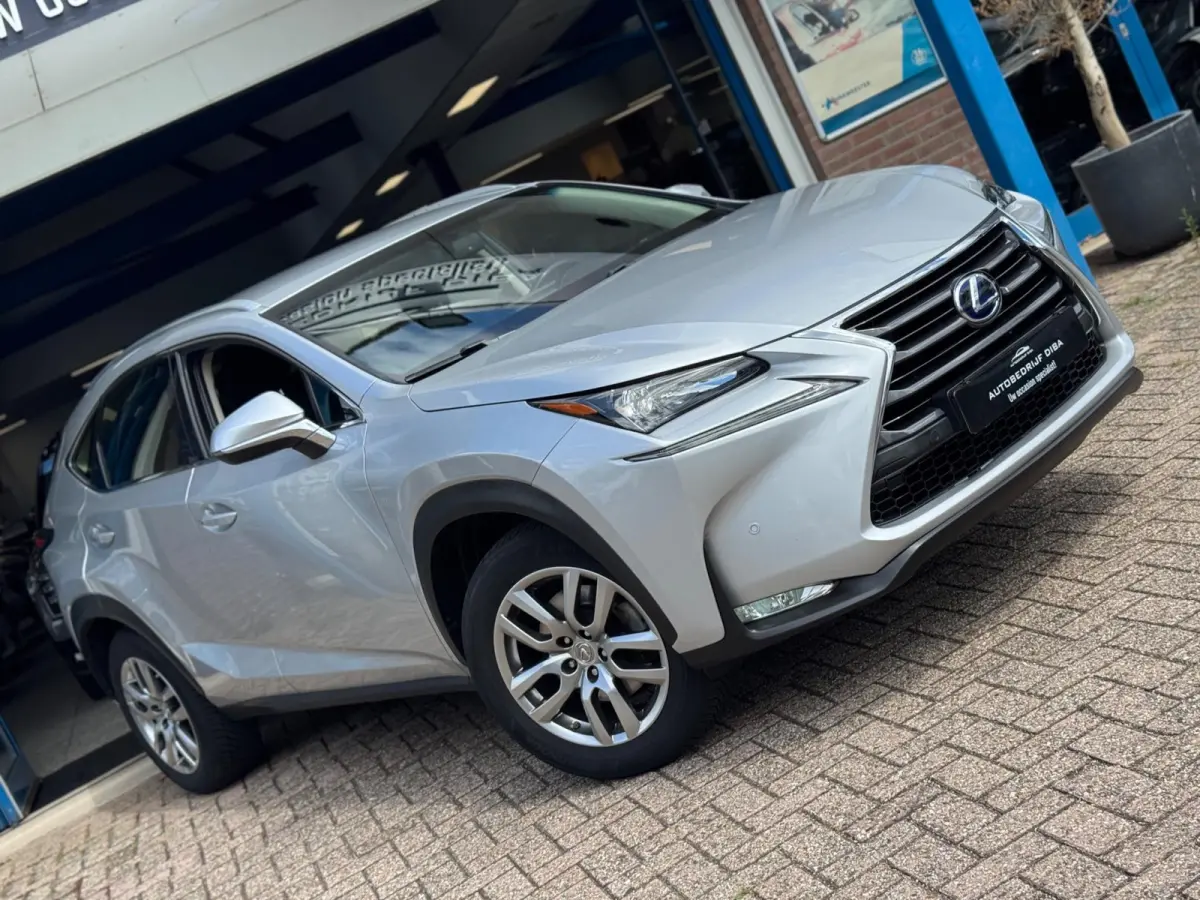 300h Sport Edition 2017 AUT NAVI CAMERA LM NAP!