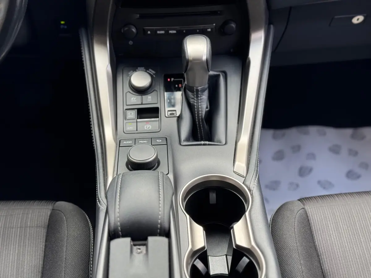 300h Sport Edition 2017 AUT NAVI CAMERA LM NAP!