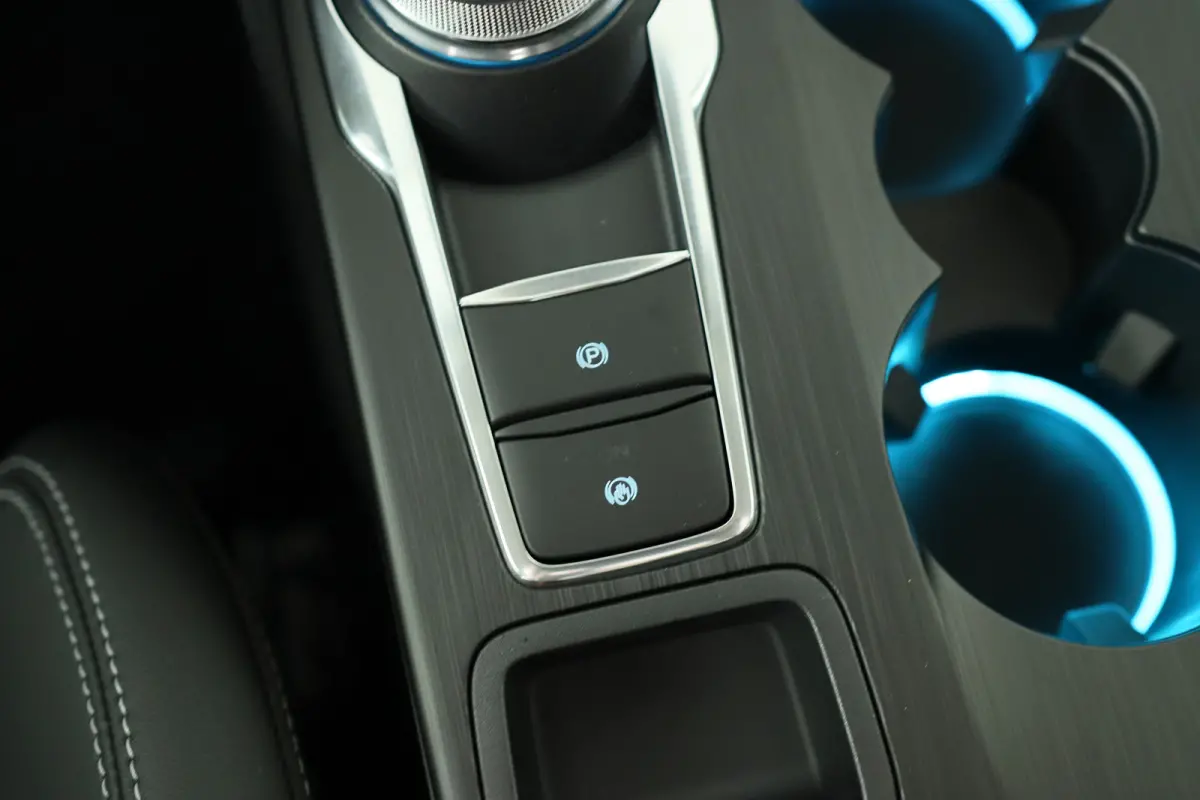 Plug-In Hybrid Active X | Black Pack | Elek. Trekhaak | Elek. Panoramadak | Winter Pack | Matrix Ford Led |