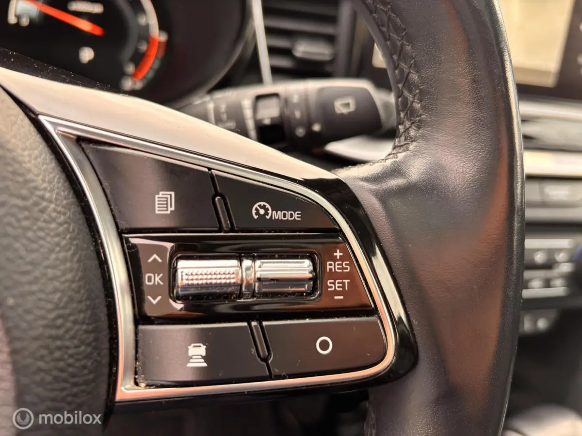 1.5 T-GDI MHEV Dynamic + Line Leer Pano