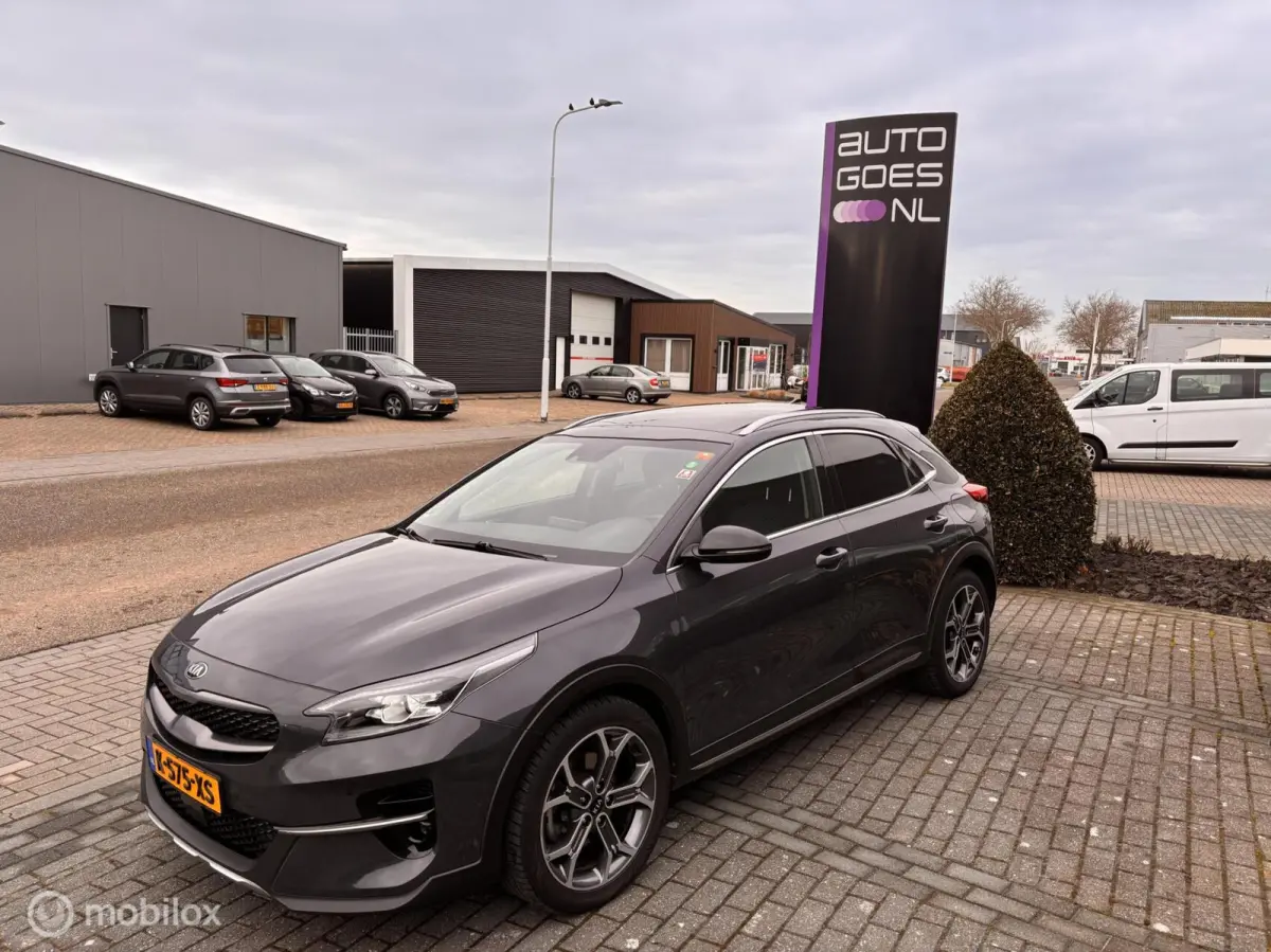 1.5 T-GDI MHEV Dynamic + Line Leer Pano