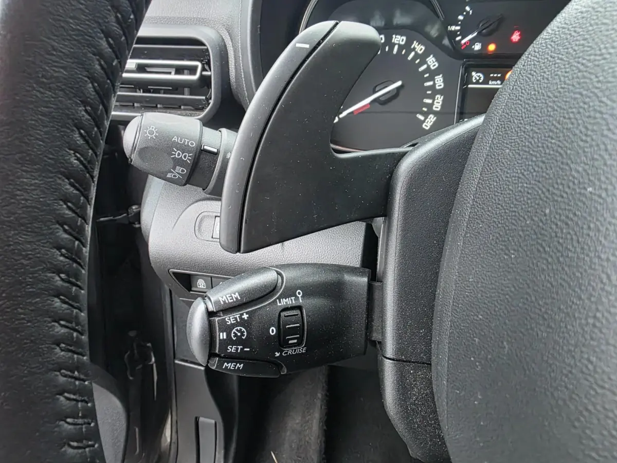 1.2 Turbo Professional|7-persoons|AUTOMAAT |Met o.a. achteruitrijcamera, cruise control en climate!