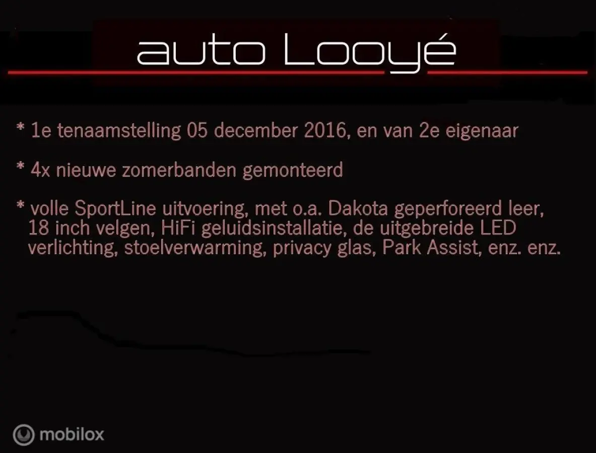 225XE Sport Line - leer - LED - 18 inch