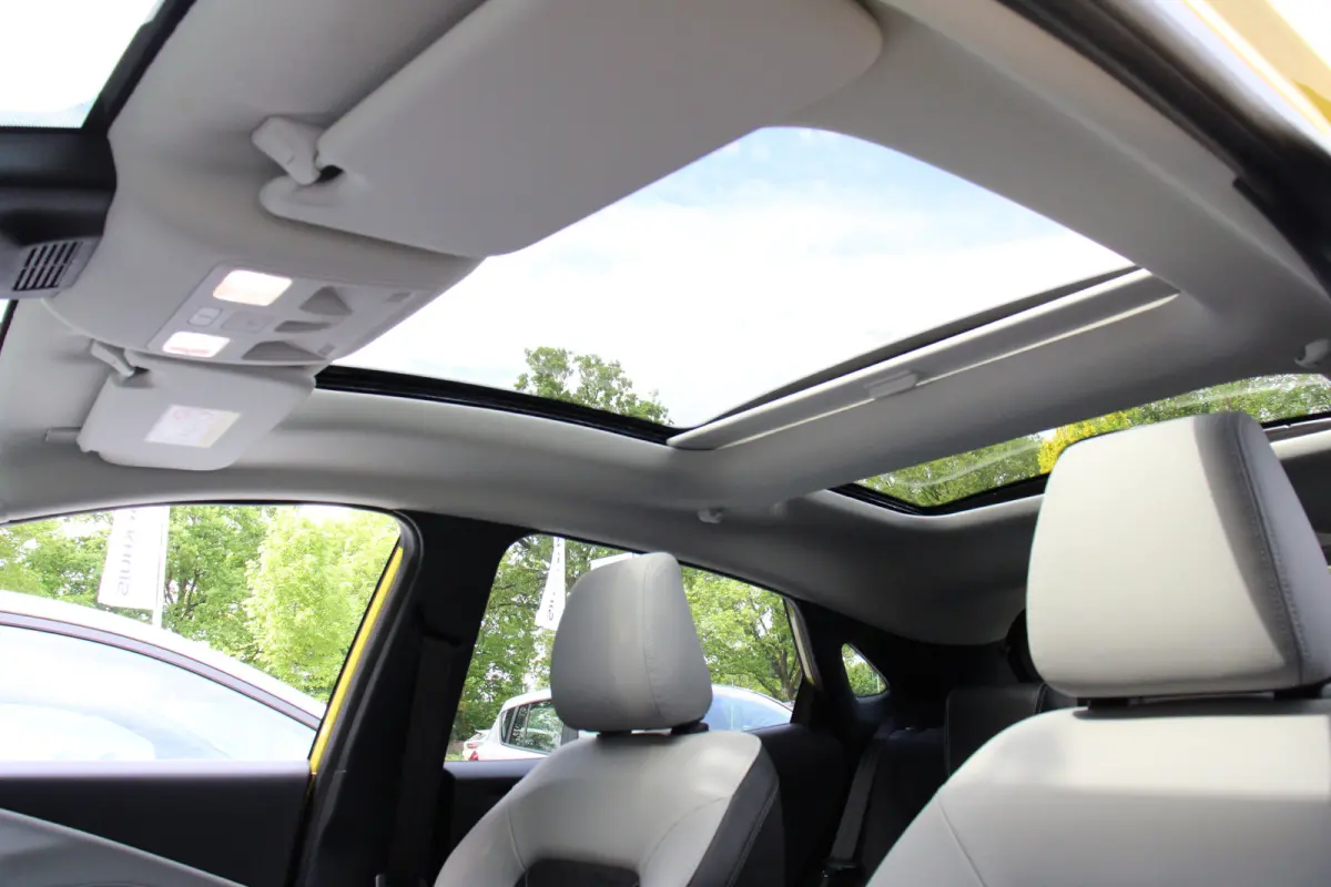 PREMIUM 44kWh | PANO DAK | 19''LMV | DRIVER ASSIST PACK | WINTERPACK |