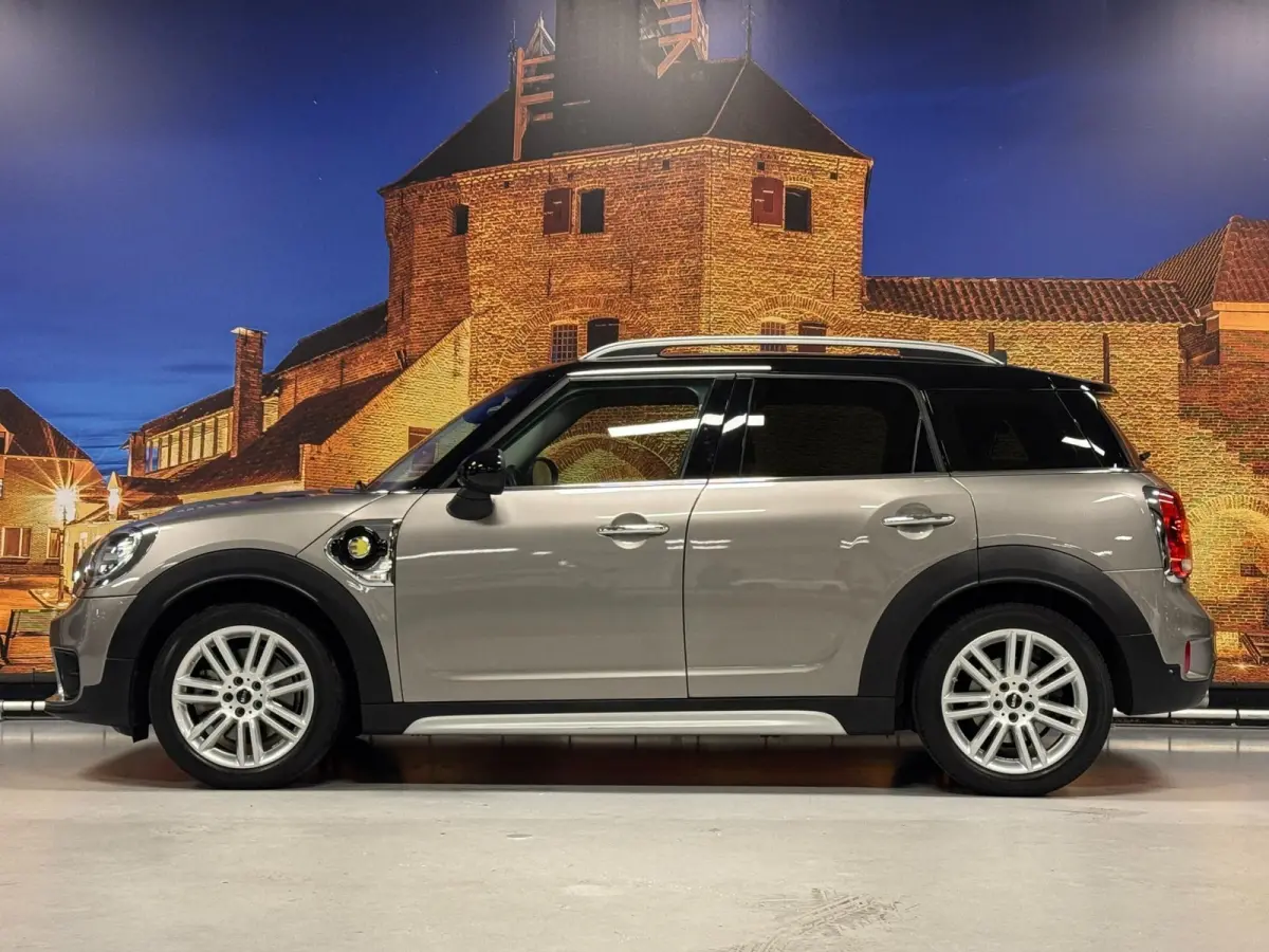 Mini 2.0 Cooper ALL4 Chili Automaat Camera