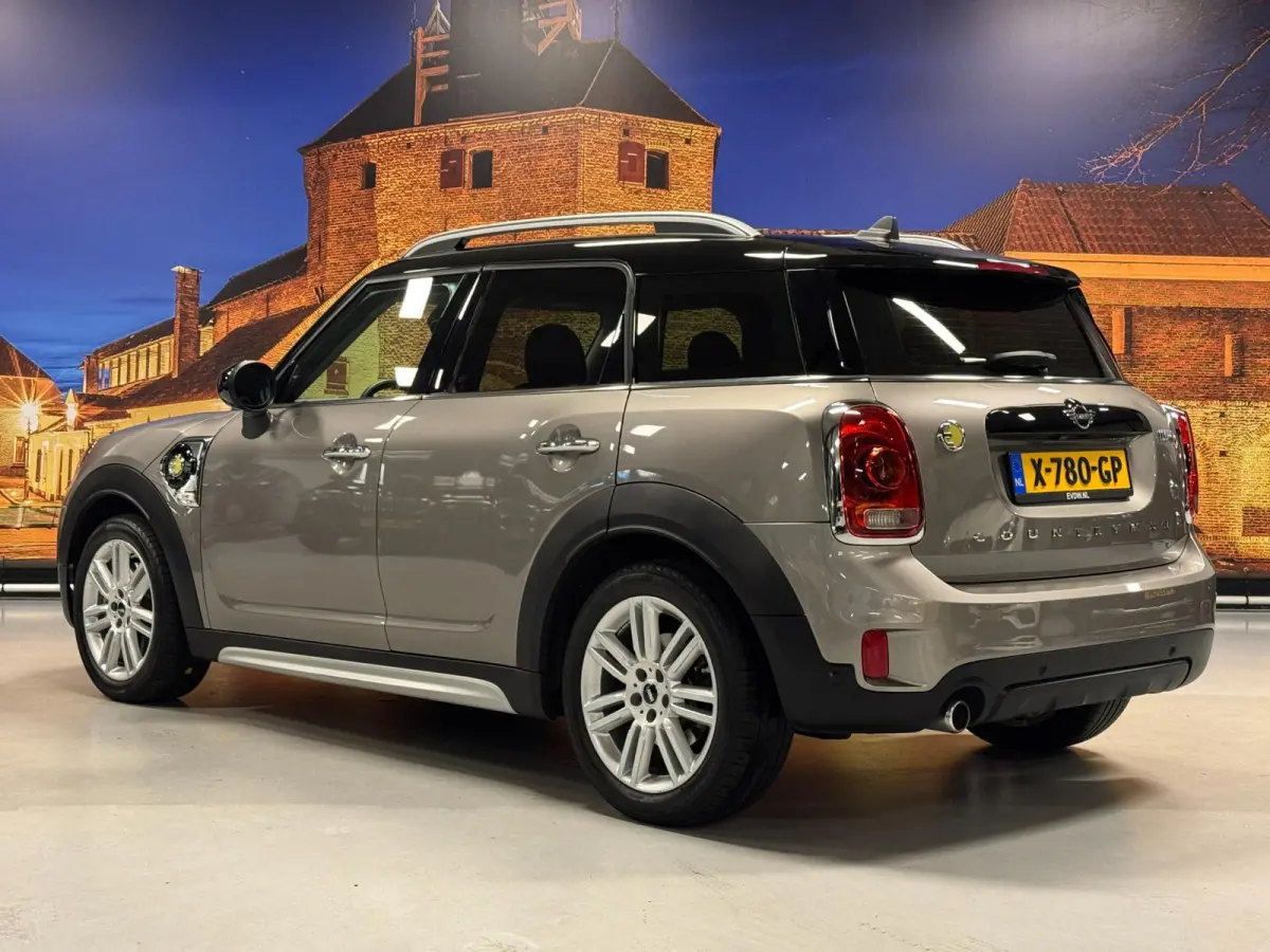Mini 2.0 Cooper ALL4 Chili Automaat Camera