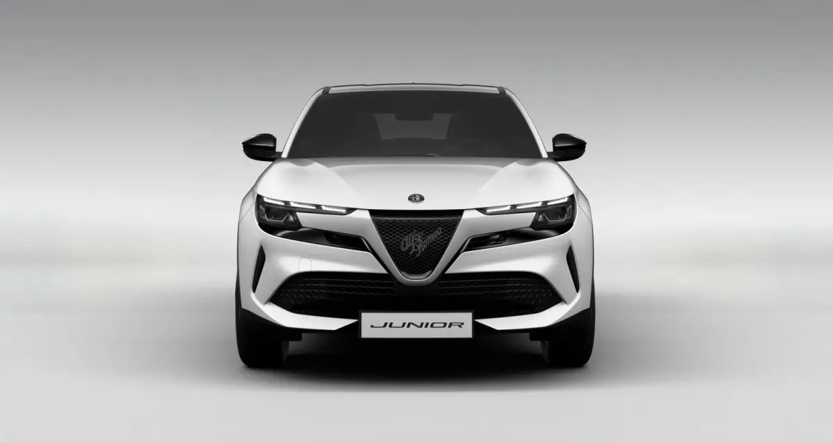 Elettrica 54 kWh | 8 jaar Fabrieksgarantie | Apple&Android Carplay | Parkeersensoren | nieuw te bestellen |