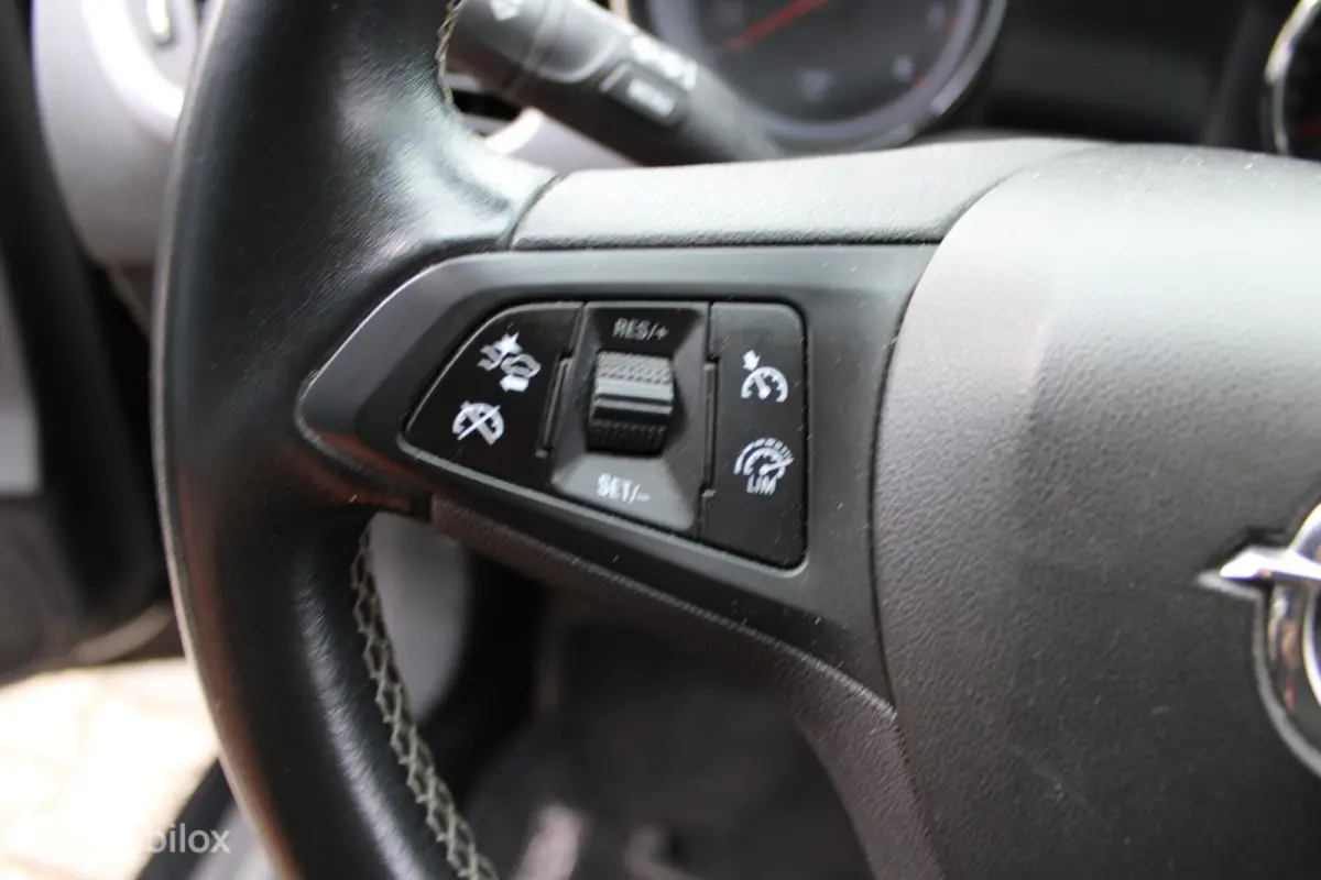 1.0 Business Executive, Pdc voor en achter, Apple Carplay/Android Auto, Navigatiesysteem full map, Cruise control