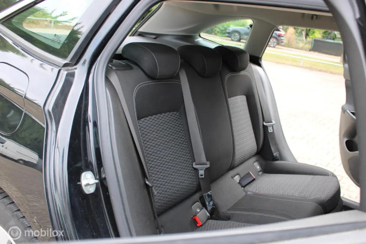 1.0 Business Executive, Pdc voor en achter, Apple Carplay/Android Auto, Navigatiesysteem full map, Cruise control