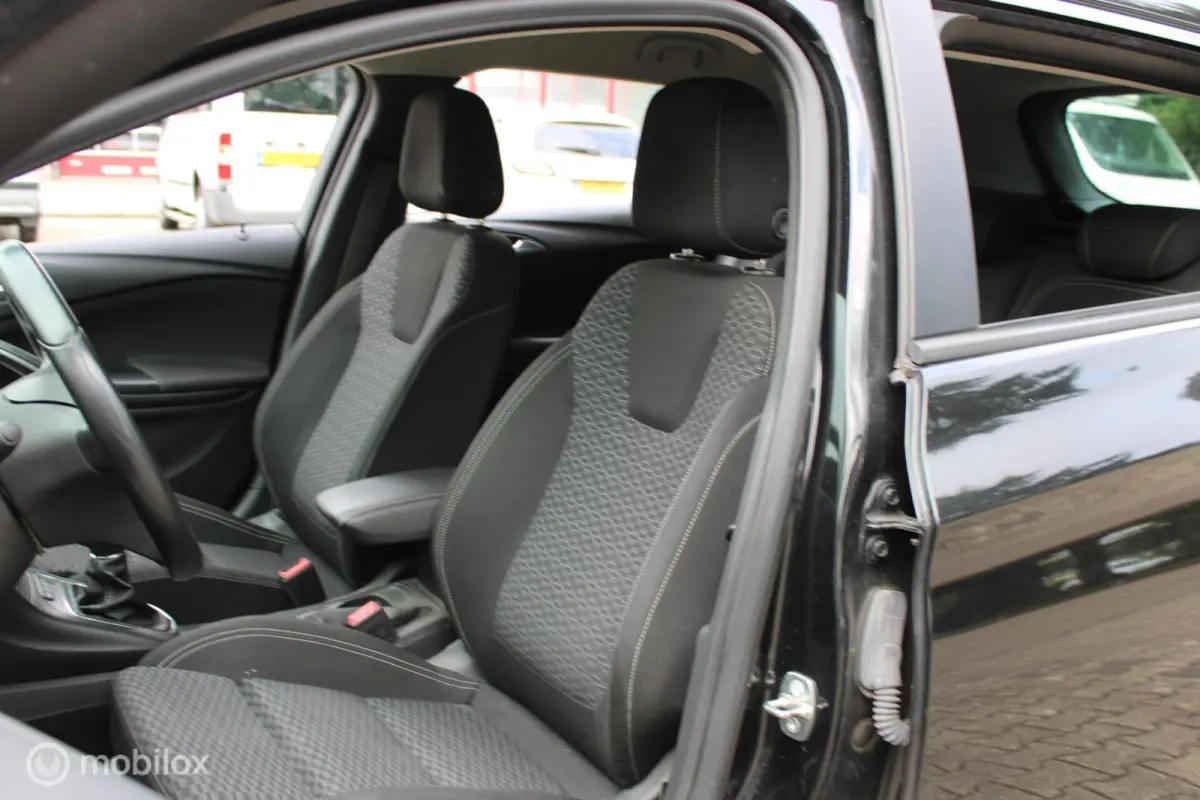 1.0 Business Executive, Pdc voor en achter, Apple Carplay/Android Auto, Navigatiesysteem full map, Cruise control