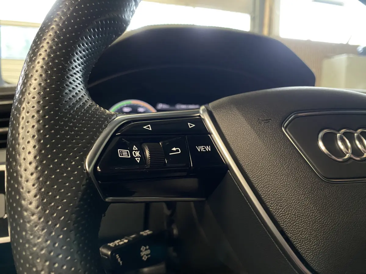 50 TFSI e quattro S edition incl btw, Pano, Camera, Matrix