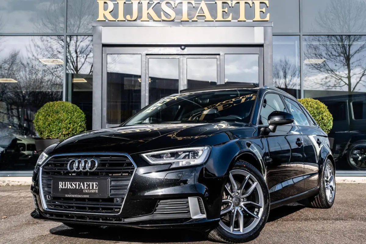 1.0 TFSI Pro Line Plus|PANO|LEDER|TREKHAAK