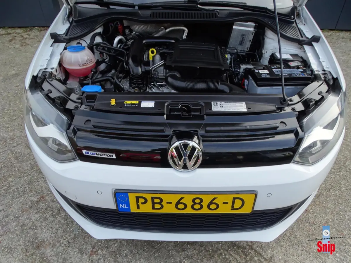 1.0 BlueMotion