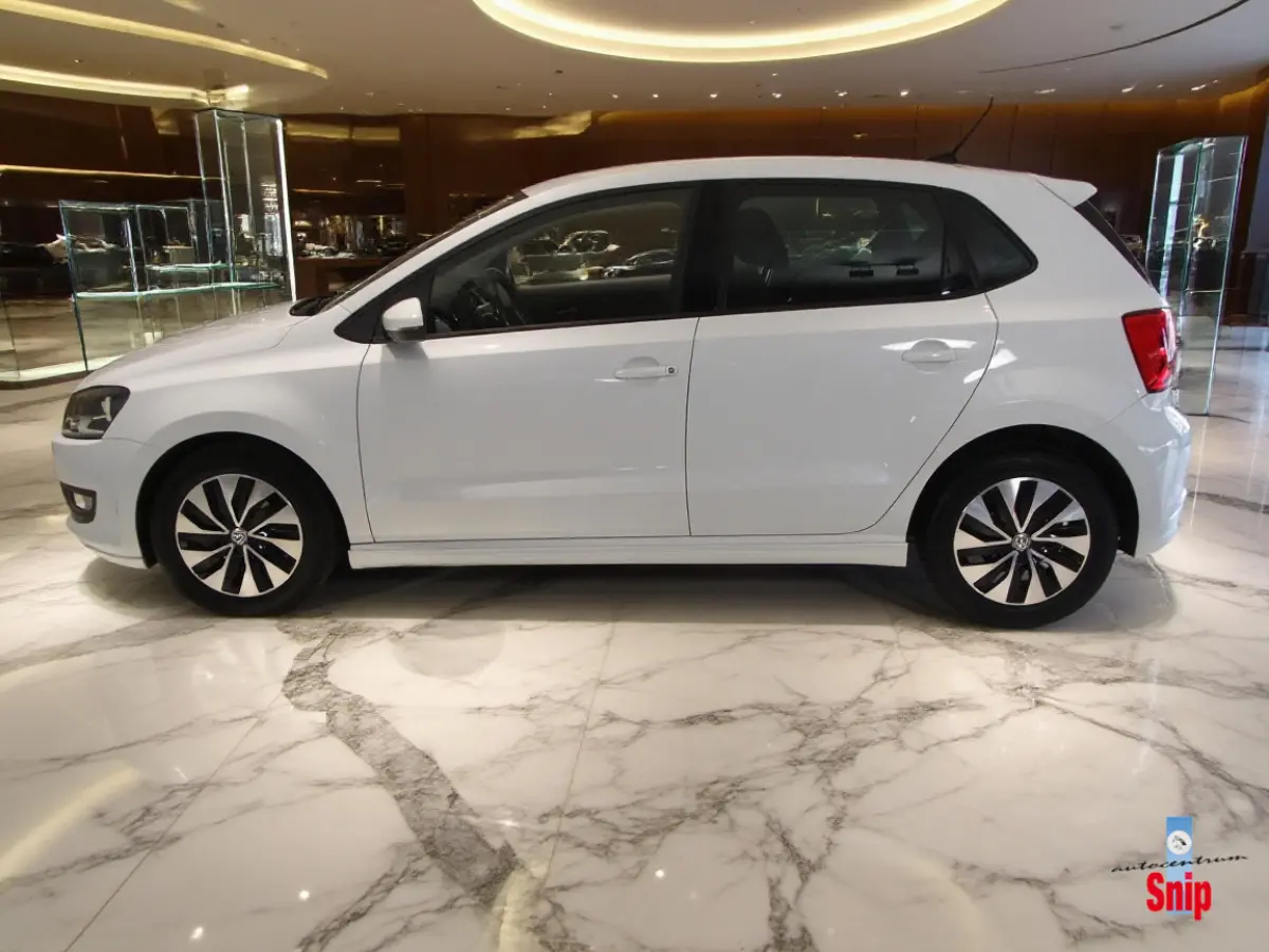 1.0 BlueMotion