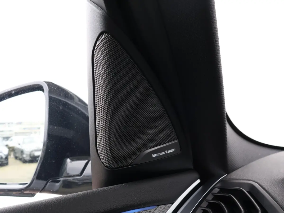 xDrive30e eDrive Edition | SoH 79% | High Excutive | M Sportpakket | Panoramadak elektrisch | Head up | Harman Kardon | |