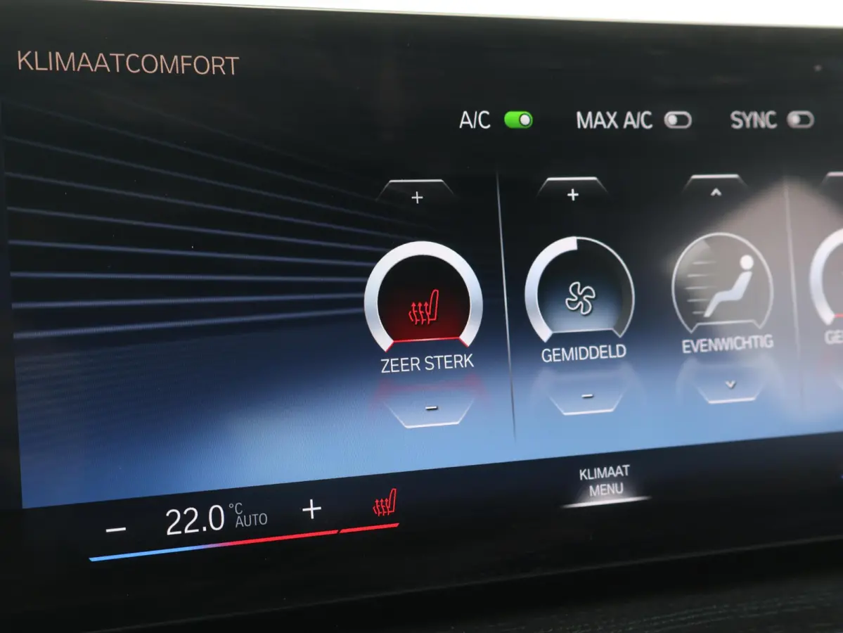 320e | SoH 100% | Achteruitrijcamera | Stoelverwarming | Cruise Control | HiFi | Sportstoelen | |