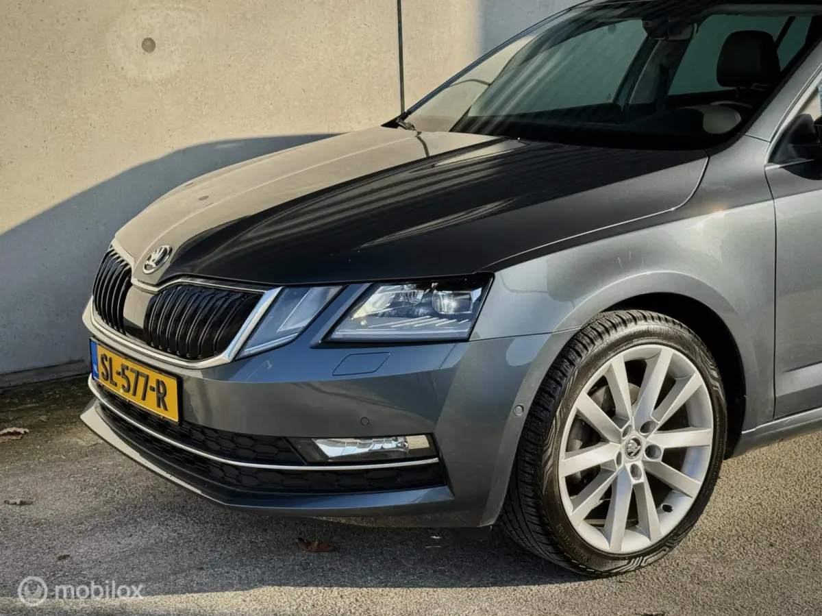 1.0 TSI|Leder|Apple Carplay|Trekhaak|