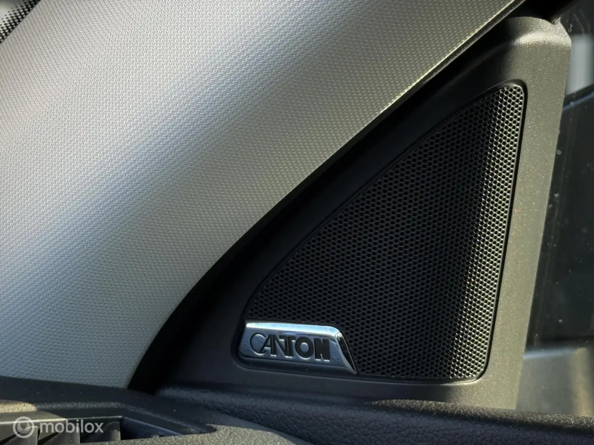 1.0 TSI|Leder|Apple Carplay|Trekhaak|
