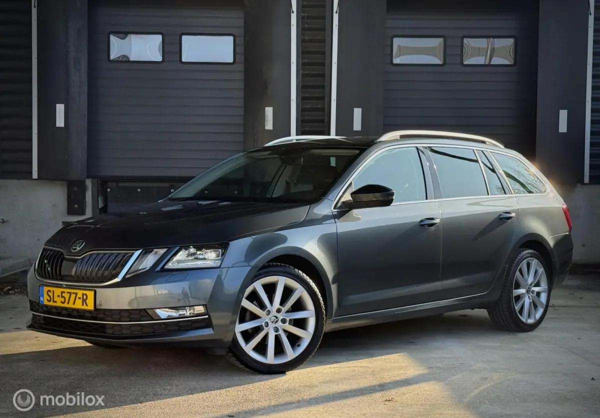 1.0 TSI|Leder|Apple Carplay|Trekhaak|