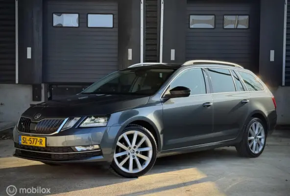 1.0 TSI|Leder|Apple Carplay|Trekhaak|