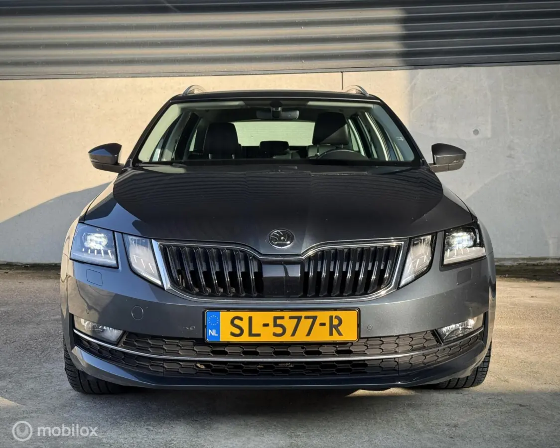 1.0 TSI|Leder|Apple Carplay|Trekhaak|