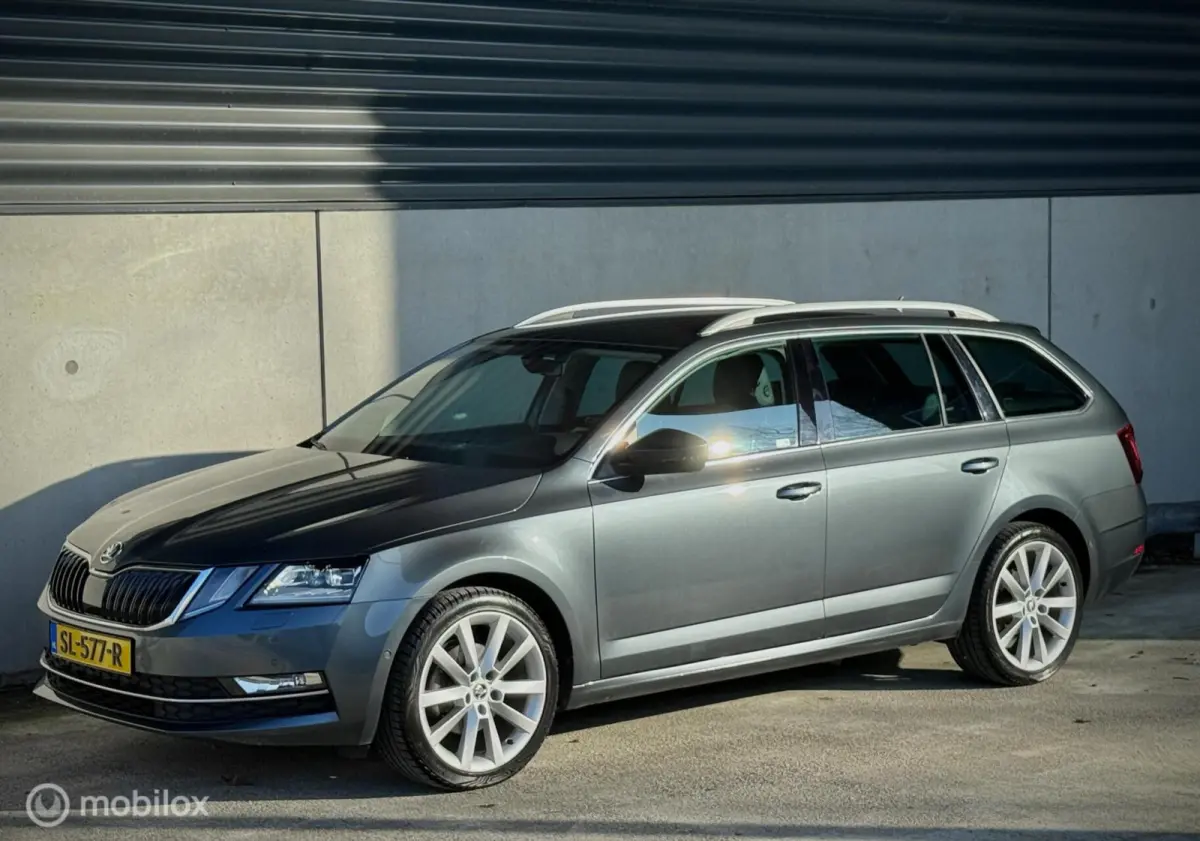 1.0 TSI|Leder|Apple Carplay|Trekhaak|