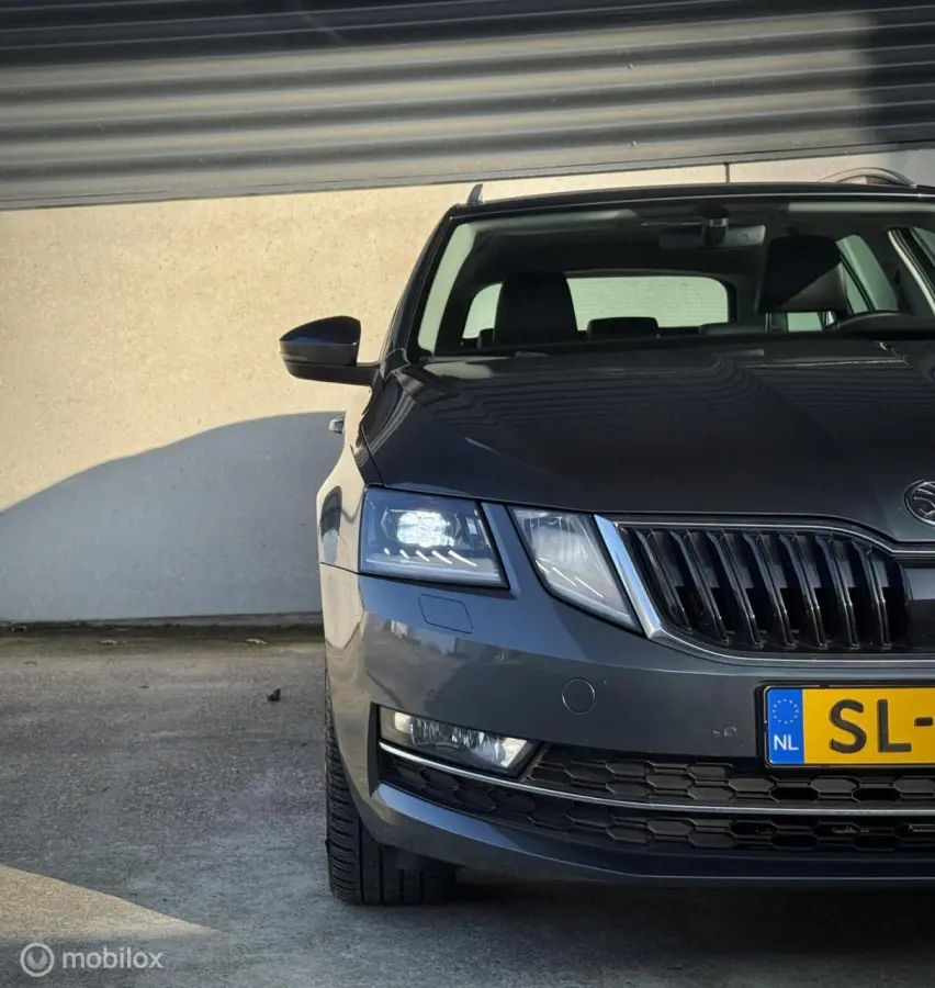 1.0 TSI|Leder|Apple Carplay|Trekhaak|
