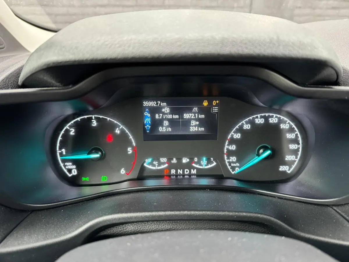 1.5 EcoBlue L1 Trend Automaat **NIEUWSTAAT**
